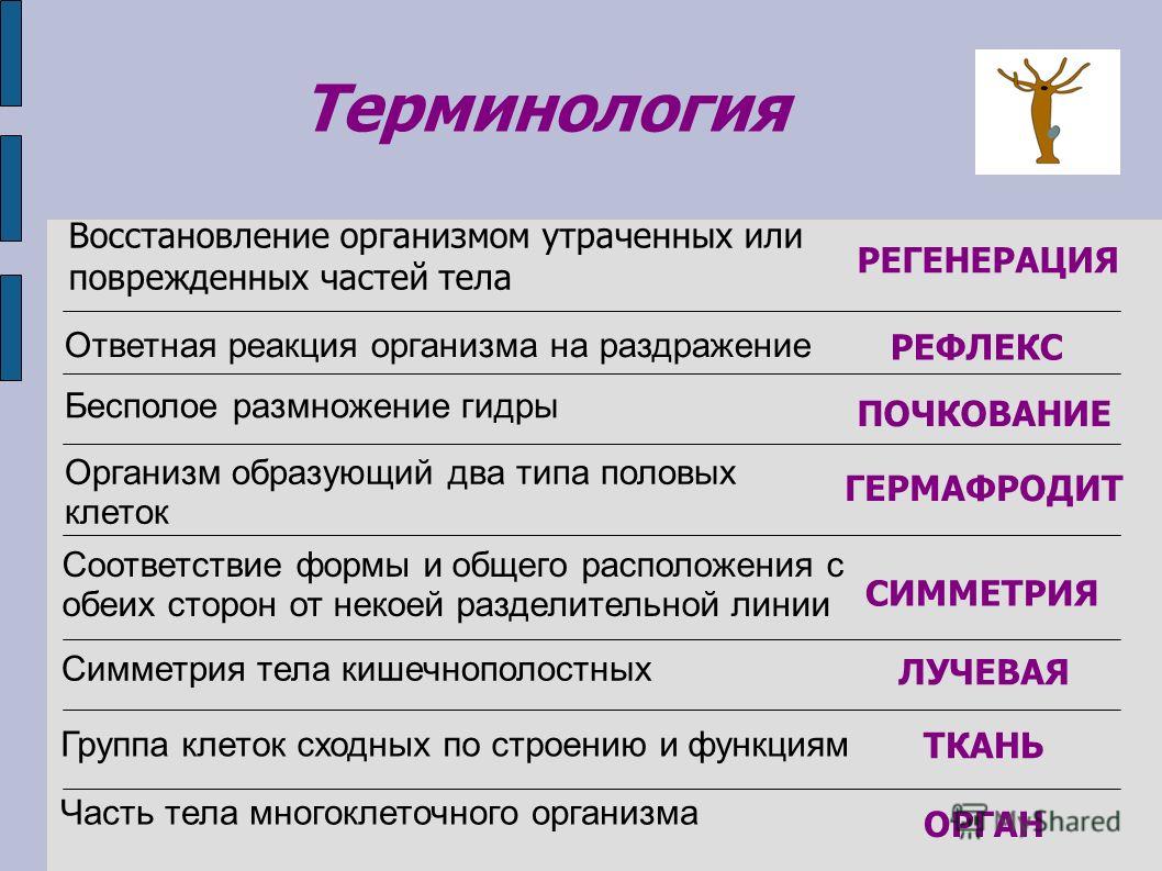 Рабочая ссылка на кракен